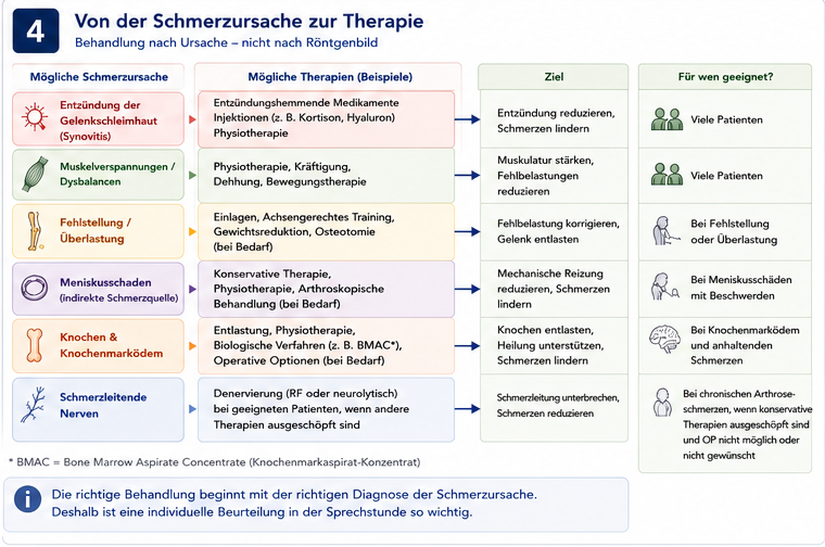 Infografik von der Schmerzursache zur passenden Therapie bei Arthrose.